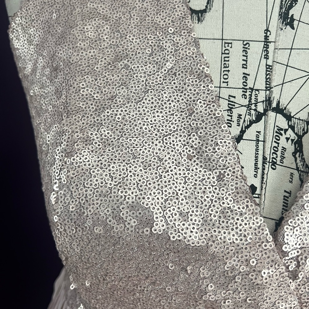 Little Mistress Sleeveless Sequin Top Dress NWT - Picture 3 of 12
